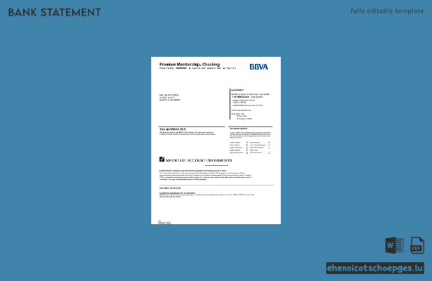 US-amerikanischer BBVA-Kontoauszug (Word-Format, 5 Seiten), Beispielvorschau